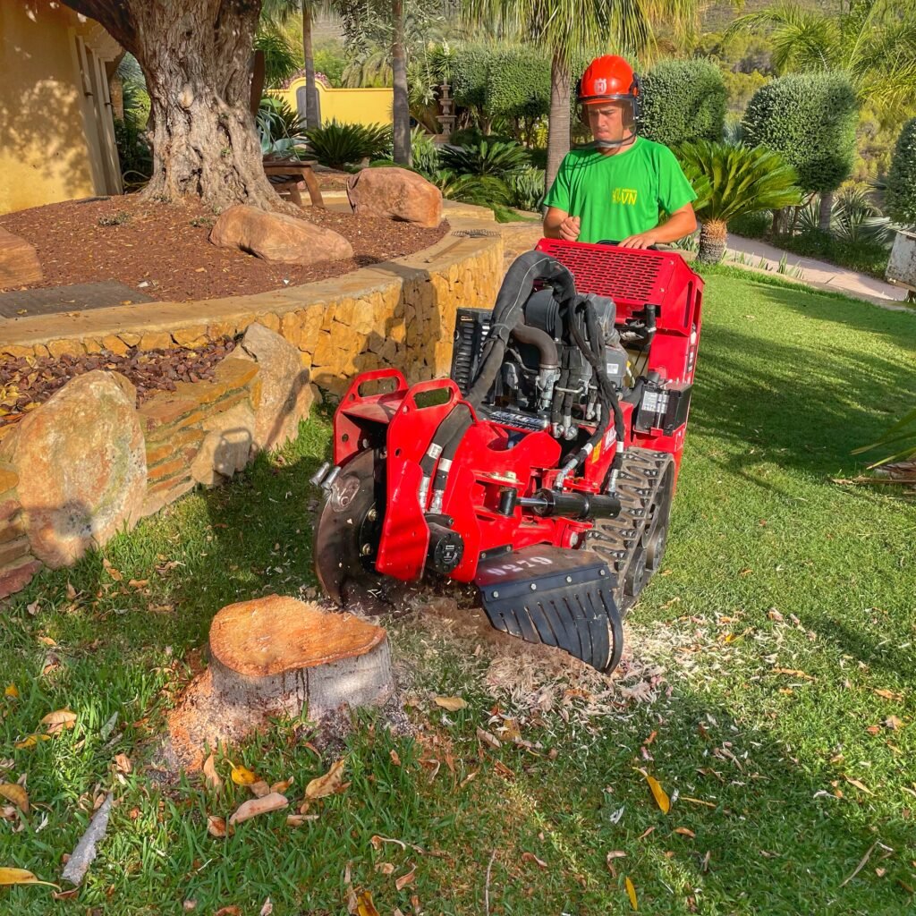 Destoconar el tronco de un árbol